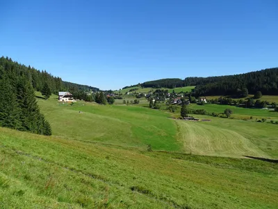 Schluchtensteig - Edeltraud Häger