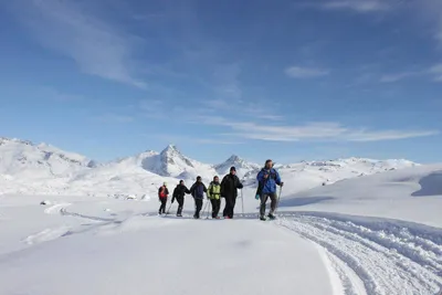 Schneeschuhwanderung - Robin Heal