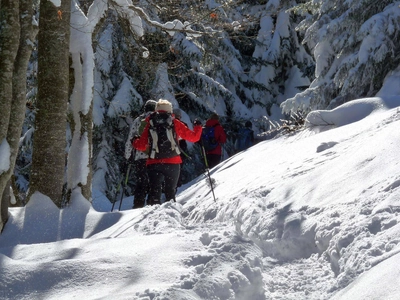 Schneeschuhtour zum Kleinen Hirschberg - Andreas Happe