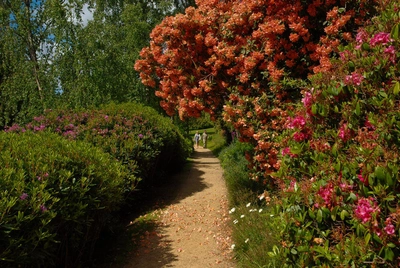 Scotney Castle, Garden - Gerd Thiel