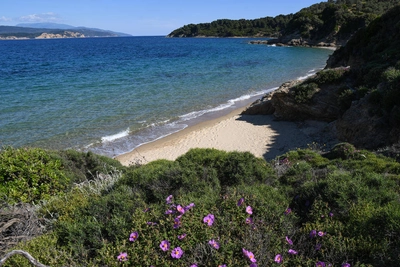 Skiathos, Micro Banana Bucht - Gerd Thiel