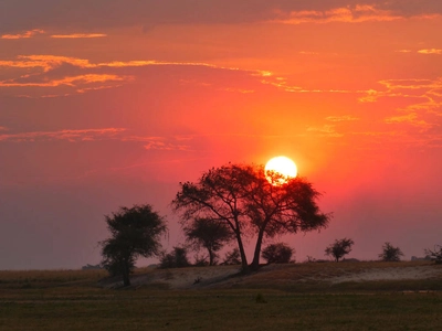 Sonnenuntergang im Chobe-NP - Lena Bohndorf