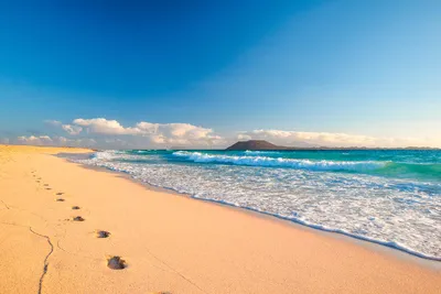 Strand von Corralejo - Juergen Wallstabe - Juergen Wallstabe / Adobe.com