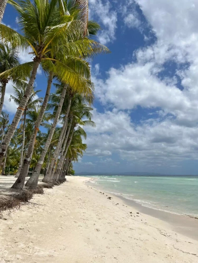 Strand auf Bohol - Julia Pille