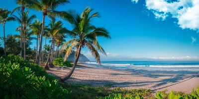 Strand auf La Réunion - pixel974 - © pixel974 / Adobe.com