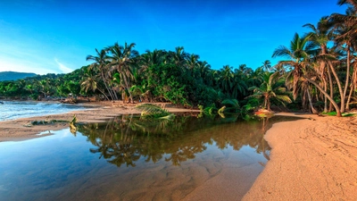 Strand im Tayrona-Nationalpark - pawel / Adobe.com - © pawel / Adobe.com