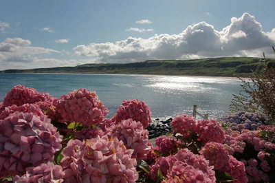 Strand in der Nähe des Giant's Causeway - Roßkopf