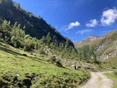 Tal der Geier - Stefanie Dütsch