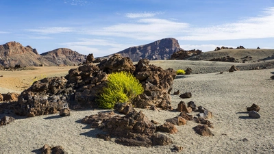 Teide-Nationalpark - André Schumacher / laif - © André Schumacher