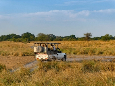 Tierbeobachtung im Chobe-NP - Lena Bohndorf