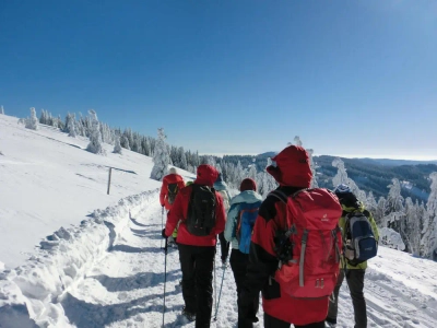 Unterwegs am Feldberg - Oliver Herrmann