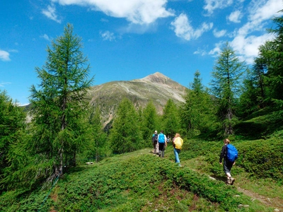 Unterwegs im Ultental - Andreas Happe