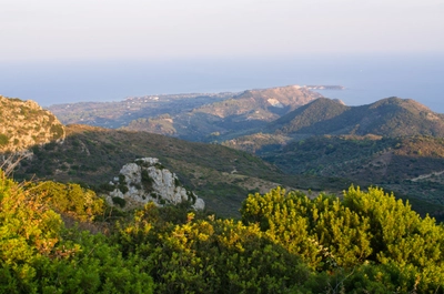 Skopos