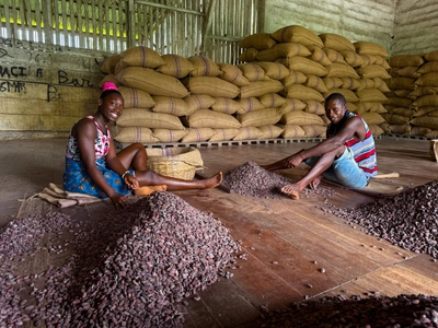 Kakao-Farm in Bela Vista