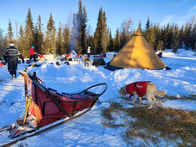 Wildniscamp am Morgen