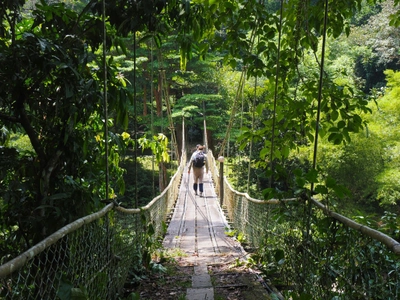 Canopy Walk in Malaysia