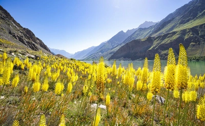 Einer der Sieben Seen im Shing-Tal