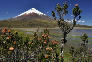 Cotopaxi-Nationalpark