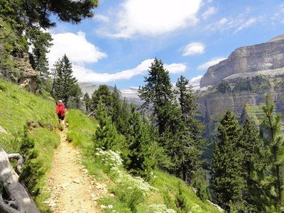 Berge und Wald im Ordesa NP