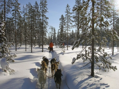 Lautloses Gleiten durch die Winterlandschaft