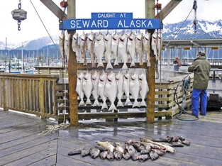 Anchorage – Seward