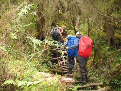 Trekking Ruwenzori