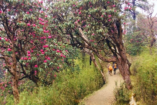 Pokhara und Beginn der Wanderung nach Pothana (1990 m)
