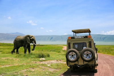 Auf Pirschfahrt durch den Ngorongoro Krater