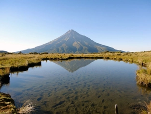 Wandern durch den Feenwald am Mount Taranaki