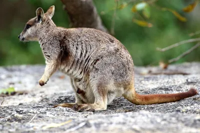 Australien – statt träumen selbst erleben