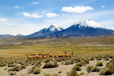 Lauca-Nationalpark