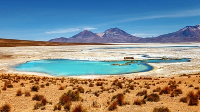 Thermen Polloquere am Salar de Surire