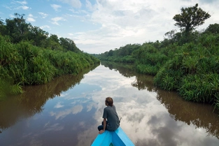 Jakarta – Pangkalan Bun – Tanjung-Puting-Nationalpark