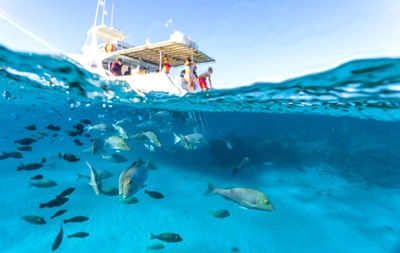 Schwimmen und Schnorcheln in der Coral Bay