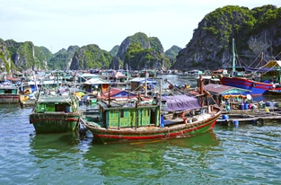 Cruisen in der Halong-Bucht – Flug von Hanoi in die Kaiserstadt Hue
