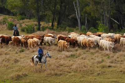 Farmer auf Neukaledonien