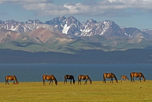 Chon Kemin-Tal – Song Kul