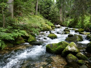 Wanderung entlang der Banderishki-Seengruppe