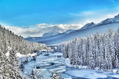 Winterliche Traumlandschaft am Bow River