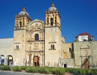 Kakteen und Fahrt nach Oaxaca