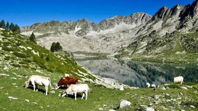Idyllische Landschaften beim Wandern in den Pyrenäen