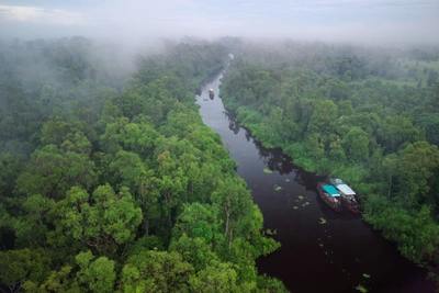 Flusssafari im Tanjung Puting NP