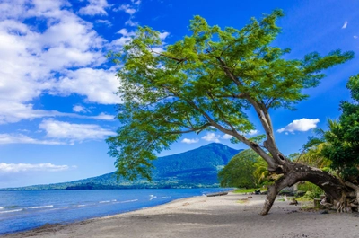 Insel Ometepe mit Vulkan