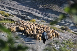 Von Tirana zum Ohrid-See