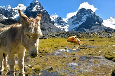 Campsite in der Cordillera Real