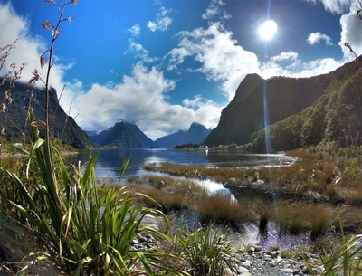 Die idyllische Kulisse von Milford Sound