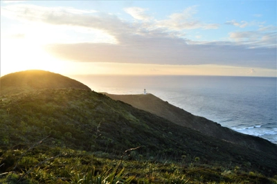 Sonnenuntergang in der Bay of Islands bei Cape Reinga