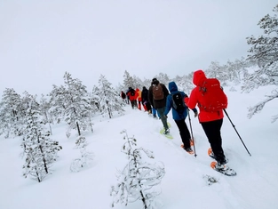 Schneeschuhwanderung im Lahemaa-Nationalpark