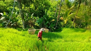 Bromo – Kalibendo – Lumajang