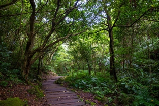 Wanderung um Yilan